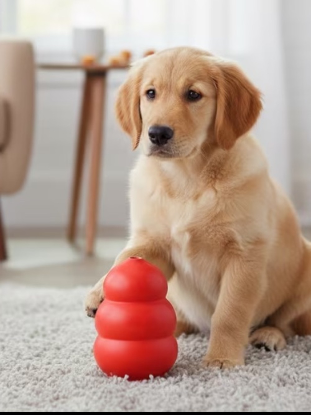 Durable Red Dog Chew Toy - Med/Large Interactive Bounce & Treat Dispenser